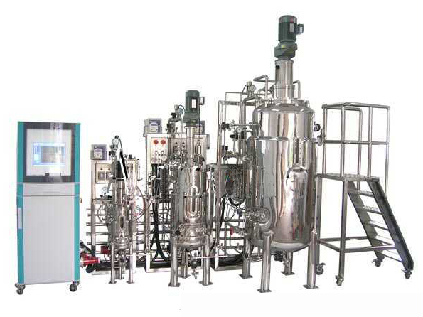 Automatic fermentation equipment